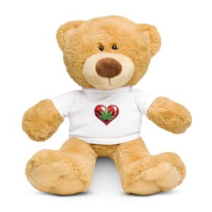 Teddy bear with a t-shirt